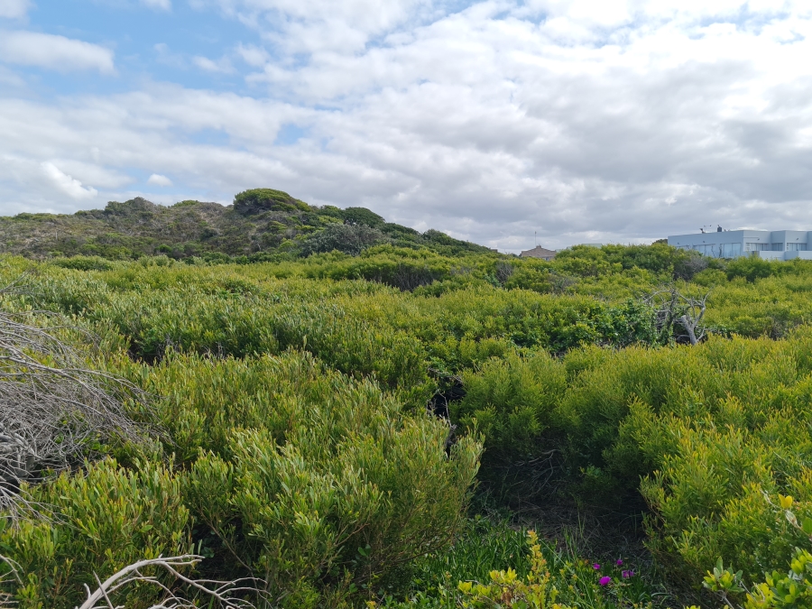 0 Bedroom Property for Sale in Paradise Beach Eastern Cape